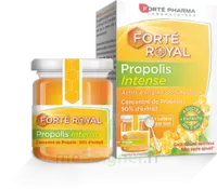 Forte Pharma Propolis Intense Gelée Pot/40g à MONTPELLIER